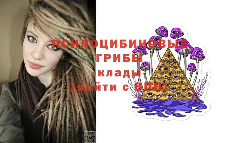 Псилоцибиновые грибы Psilocybe  Калач 